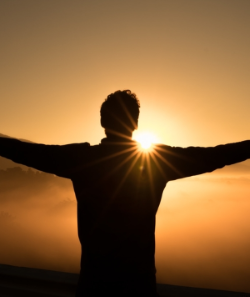 IABC Vitamin D3 Trockenbluttest